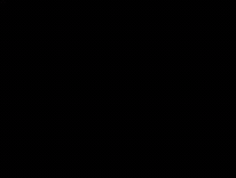Marry Eastern Orthodox GIF