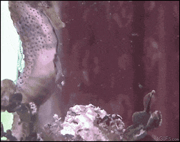 200.gif?cid=fc005b08e4a2f066d86eb593a3ea7cb4c8681a464c6fdc59&rid=200.gif&ct=g