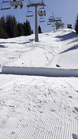 bonebinding GIF