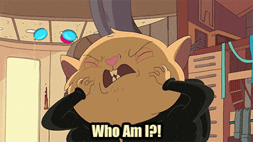 200.gif?cid=fc005b0812ef85cc299c1501d15723ab46a6be49900f0760&rid=200.gif&ct=g