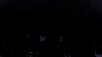 juska  GIF