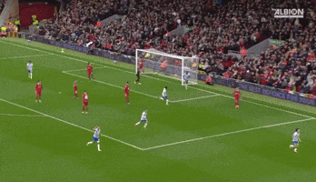 Football Brighton GIF