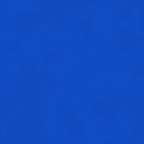 Hallvaror_ GIF