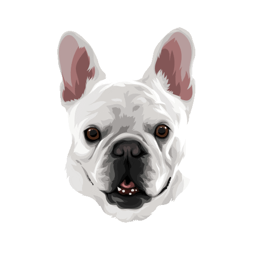 Lola Design Sticker
