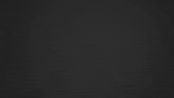 Huskies Wels GIF