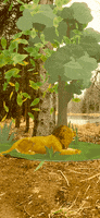 200.gif?cid=fc005b0804c57f2d4afde62bea9c08c82da2ff585178027e&rid=200.gif&ct=g