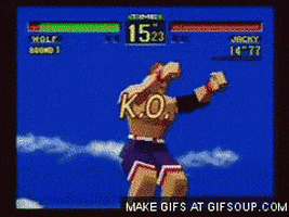 fighter GIF