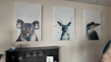 Congrats GIF