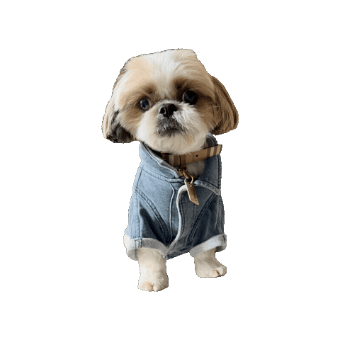 Dog Sticker