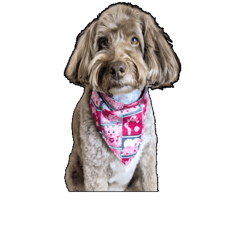 Bandana Dog Sticker by Geekster Pets