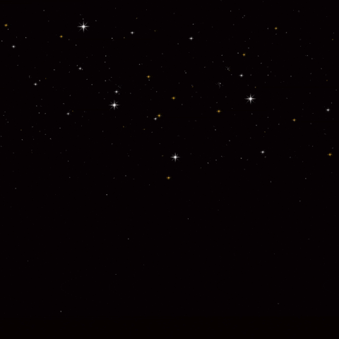 neighborgood GIF