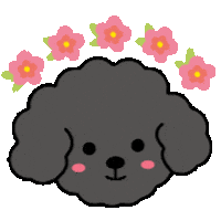 Poodle 花 Sticker