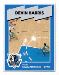 Dallas Mavs GIF by Giphy Cards