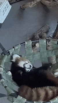 200w.gif