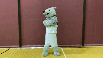 I Want You GIF by Cardinal Stritch University