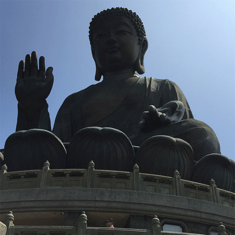 Buddha GIF - Find & Share on GIPHY