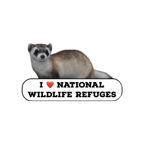 National Wildlife Refuge Ferret Sticker by U.S. Fish and Wildlife Service