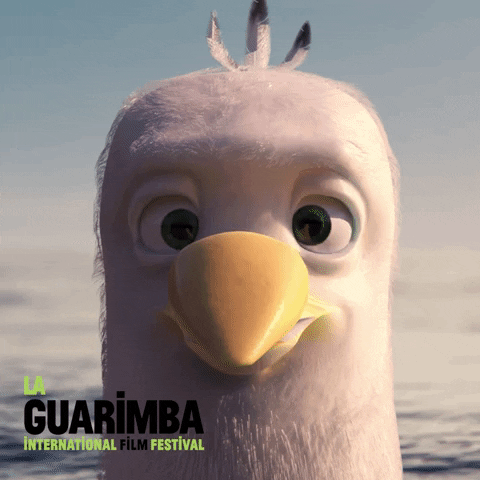 Sad Whats Up GIF by La Guarimba Film Festival