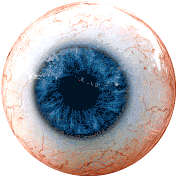 Eye Sticker