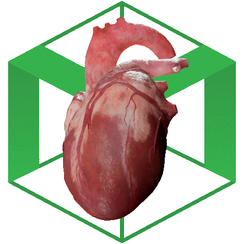 Heart 3D Sticker by MedRoom
