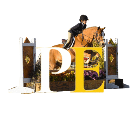 Hunter Dressage Sticker by ProEquest