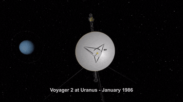space voyager GIF by NASA