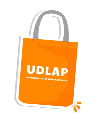 Brand Orange Sticker by UDLAP