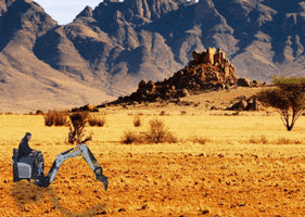 Desert Digging GIF by De Knoest Tuinen