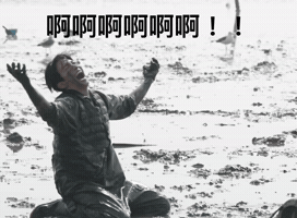 Dk GIF