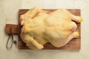 Chicken GIF