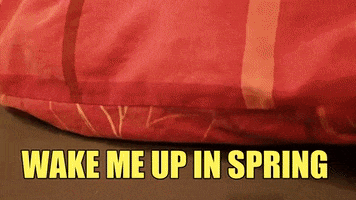 Spring GIF