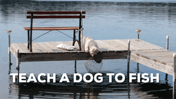 dog fishing GIF by Becky Chung