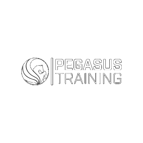 Pegasus Training Sticker
