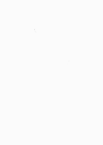 Cactidesign GIF