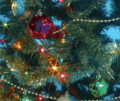 Video gif. Shimmering red, green and gold ornaments hang near glowing lights on a green Christmas tree. 