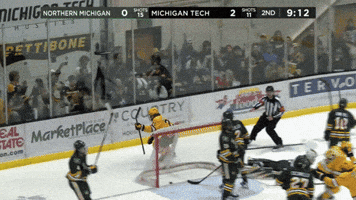 Hockey GIF
