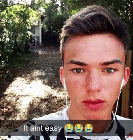 Pierre Gasly GIF