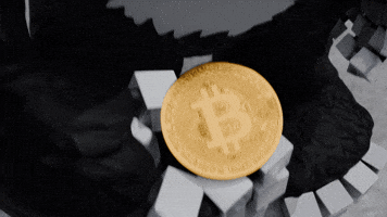 Money Lol GIF by Endangered Labs