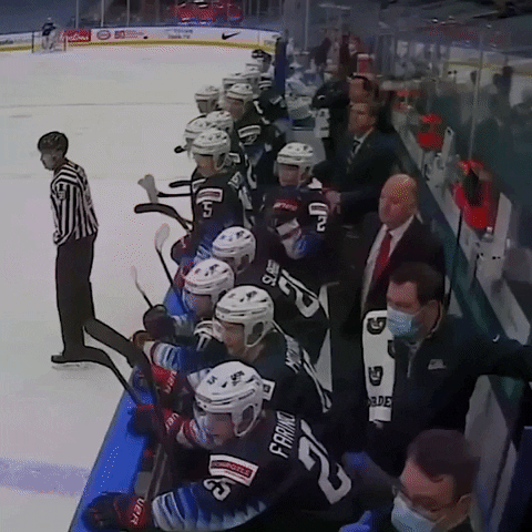 Ice Hockey Goal GIF by USA Hockey