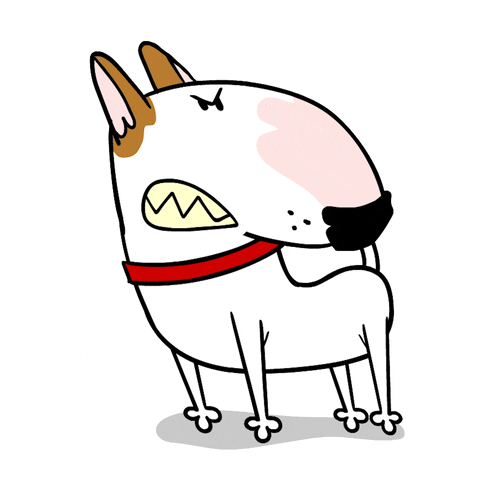 Angry Bull Terrier GIF by Jimmy the Bull