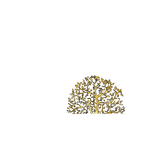 INSTITUTO DENTAL LIFE Sticker