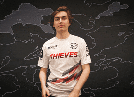 Pro Player Ugh GIF by 100 Thieves