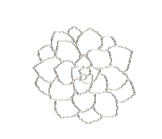 Plant Sticker