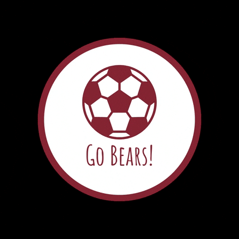 Golden Bears GIF by HIES Athletics