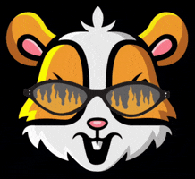 Hamster Coin GIF