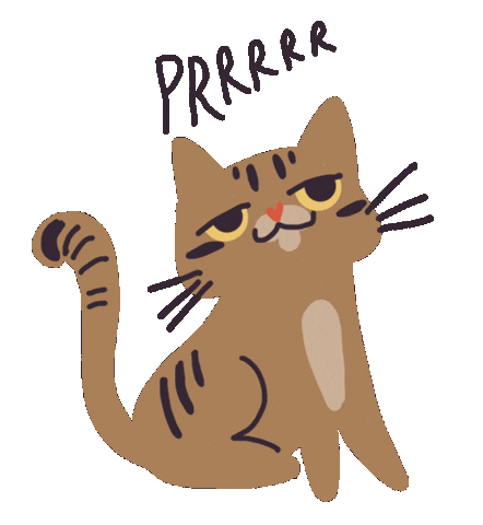 Cat Gatos Sticker by universoanimalmx