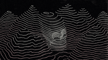 Skull Lines GIF by Trevor Anderson