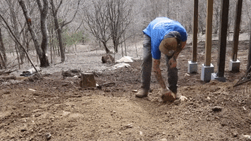 Throwing Yard Work GIF by JC Property Professionals