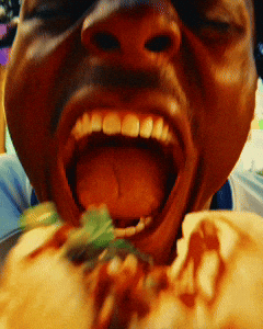 GIF by Expedia