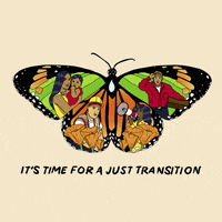 Climate Change Butterfly GIF by NRDC